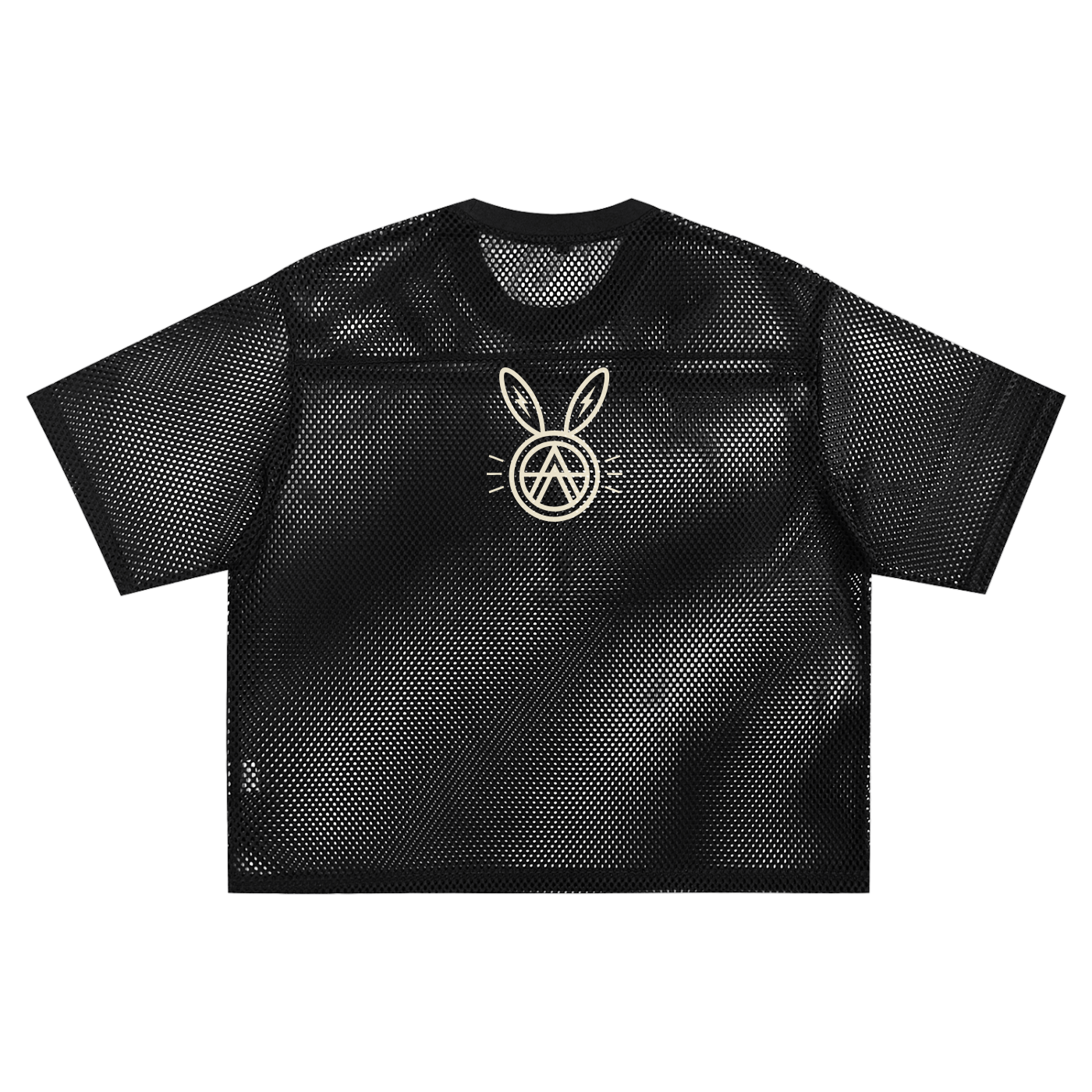 See-through Boxy Net T-shirt