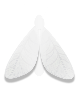 Otherly moth